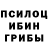 Галлюциногенные грибы мицелий Denis2012games