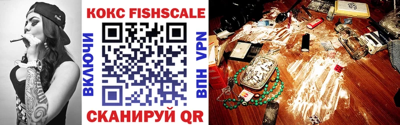 Cocaine FishScale  дарнет шоп  Новоалтайск 
