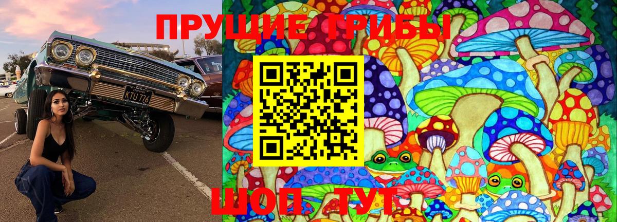 Галлюциногенные грибы Psilocybine cubensis  Вход с VPN  Новоалтайск 